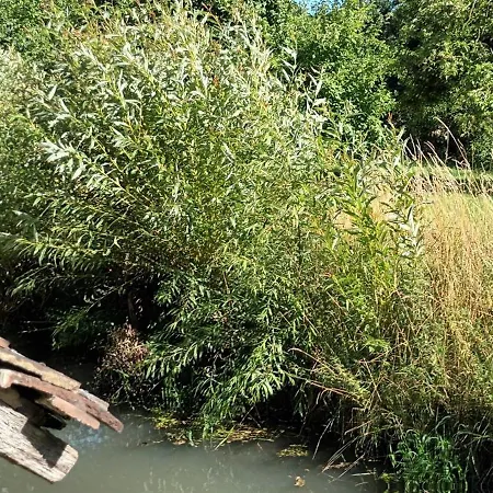 L'echauguette Du Perche Preaux (Orne)